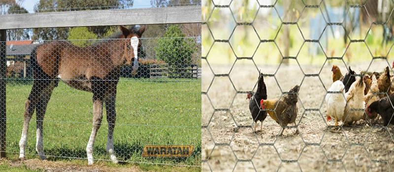 Galvanized Hexagonal Wire Netting applications Galvanized Hexagonal Wire Netting applications